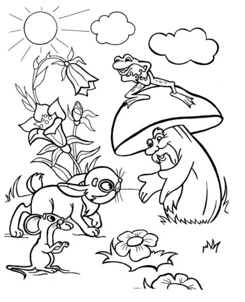 Грибок к сказке Сутеева под грибом раскраска гриб