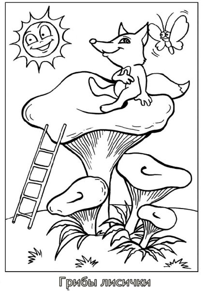 Гриб Лисичка раскраска для детей