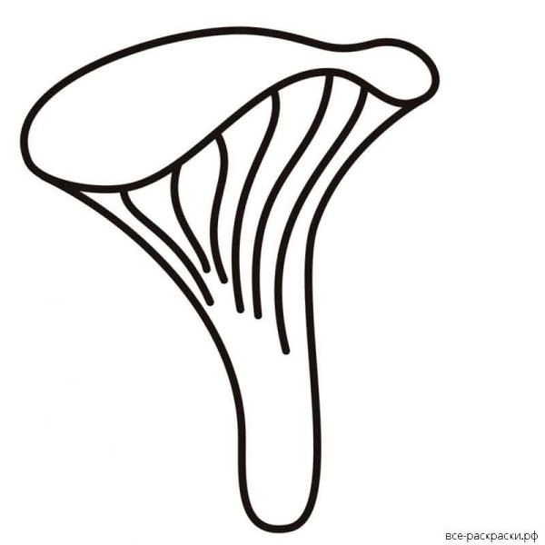 Гриб Лисичка трафарет
