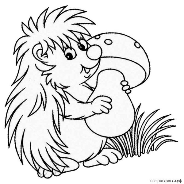 Ежик с грибами раскраска