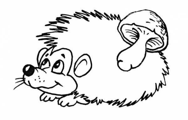 Раскраска Ёжик