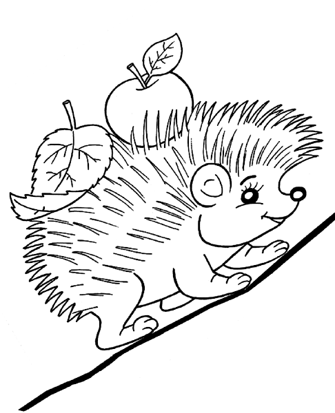 Ежик рисунок