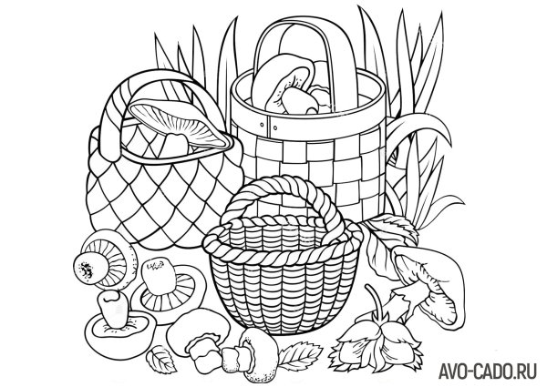 Корзина с грибами раскраска