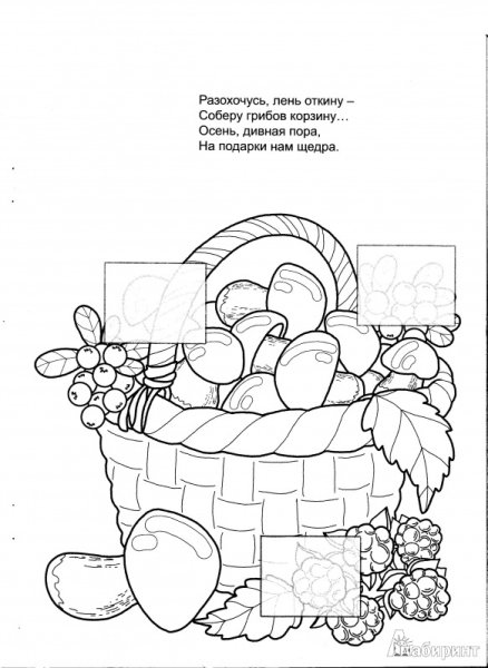 Корзина с грибами раскраска