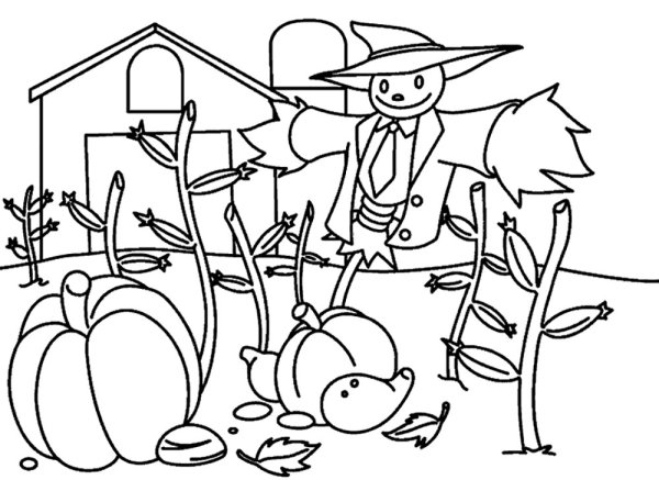 Раскраска. В огороде