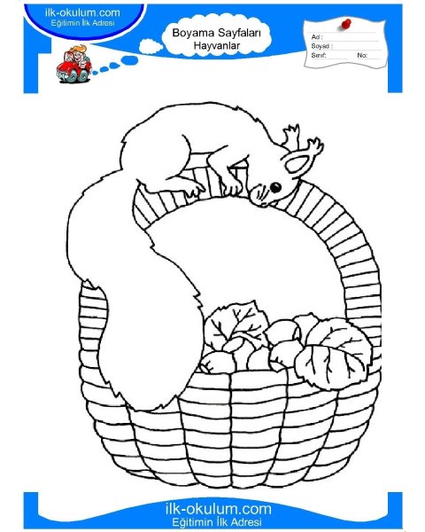 Лукошко с грибами раскраска для детей