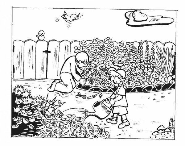 Раскраска. В огороде