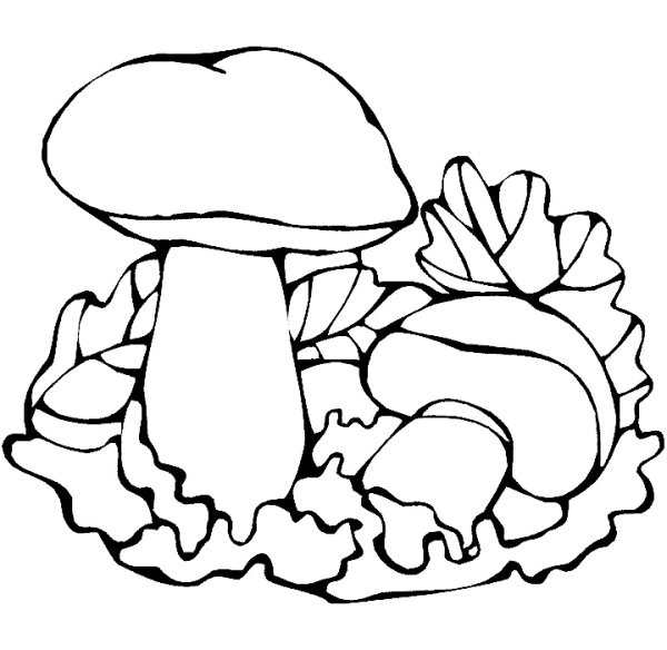 Раскраска грибы и ягоды