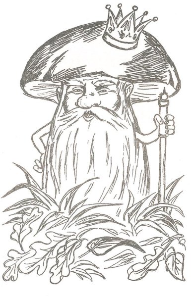 Старичок Боровичок Лесной дед