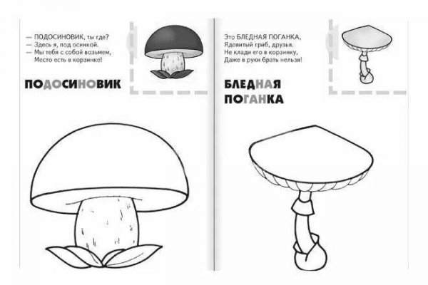 Раскраска с наклейками. Грибы.