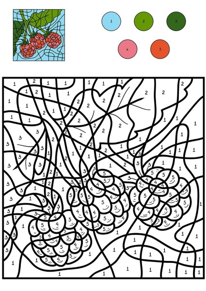 Раскрась фрукты по цифрам