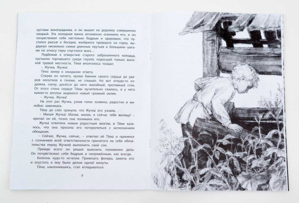 Тема и жучка Гарин-Михайловский раскраска