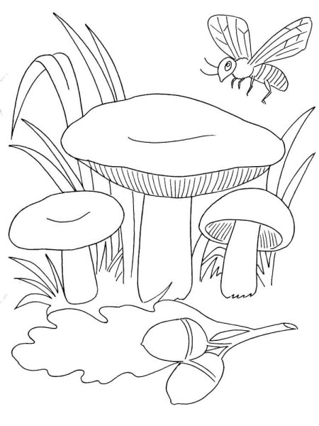 Раскраска гриб сыроежка