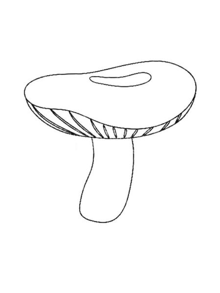 Раскраска гриб сыроежка