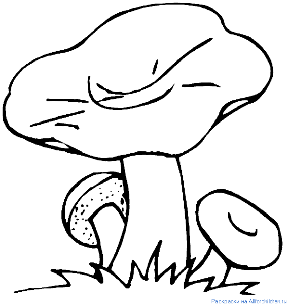 Контур гриба сыроежка