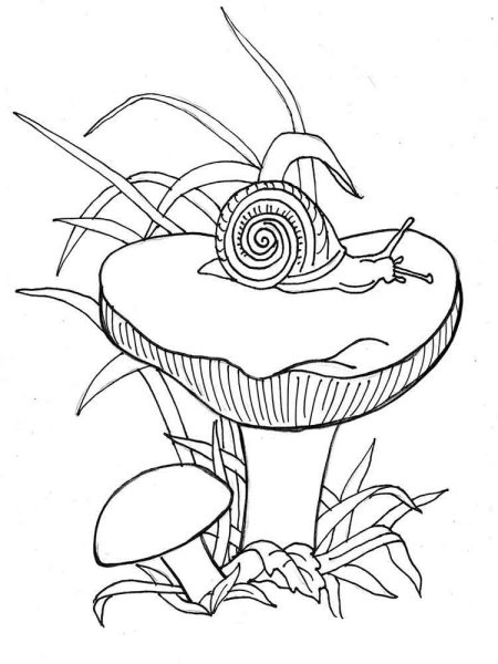 Раскраска гриб сыроежка