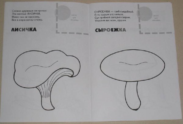 Ложная Лисичка гриб раскраска