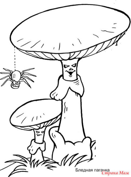 Бледная поганка разукрашка
