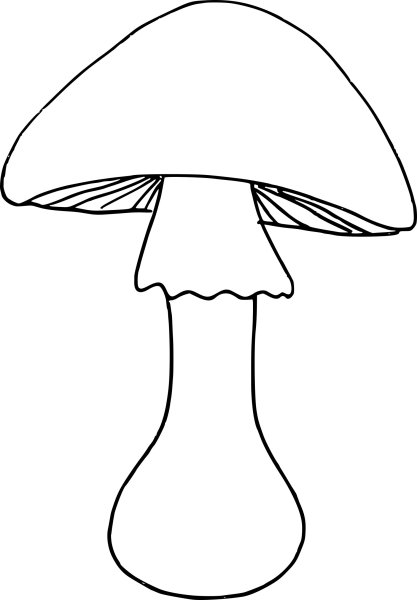 Бледная поганка раскраска