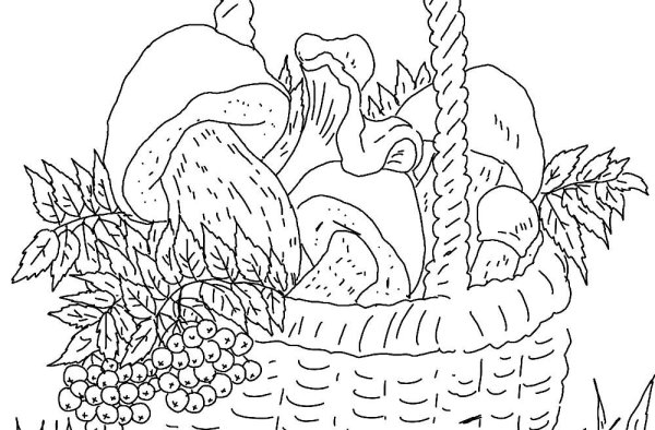 Корзина с грибами раскраска для детей