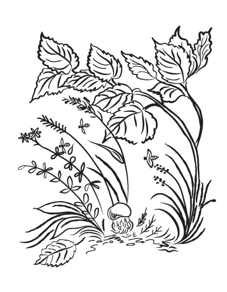 Под грибом раскраска