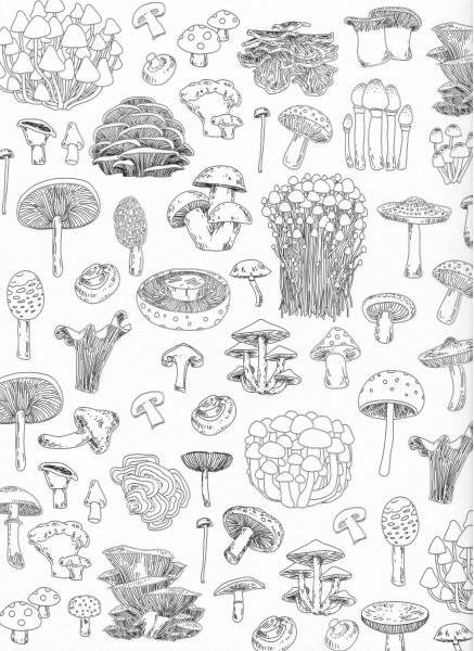 Грибы тату эскиз