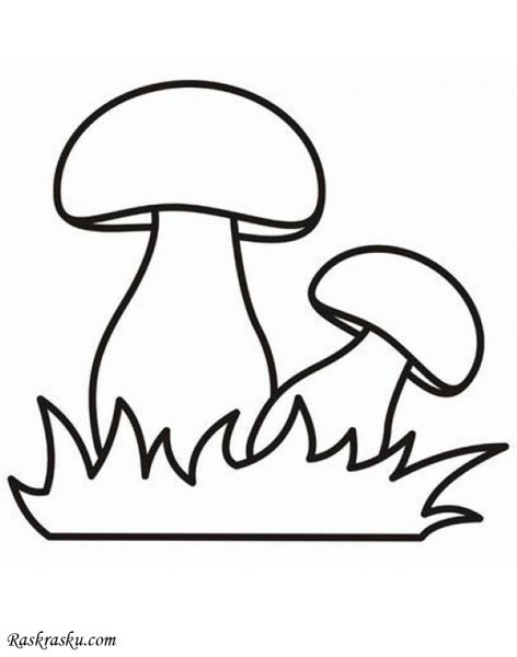Раскраска гриб поганка