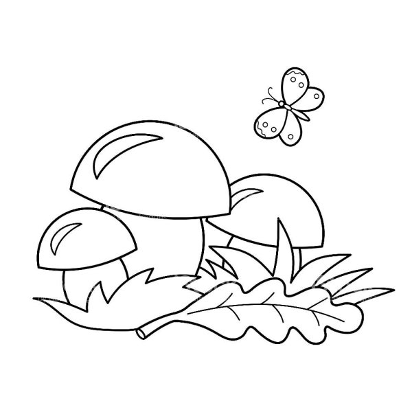 Белый гриб раскраска для детей