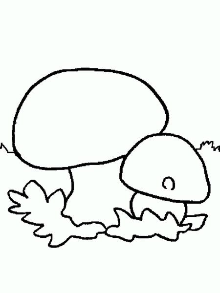 Осенние грибы раскраска для детей