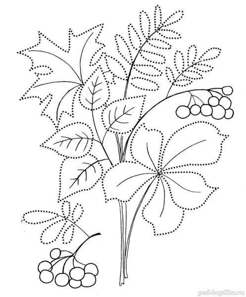 Осенний букет раскраска