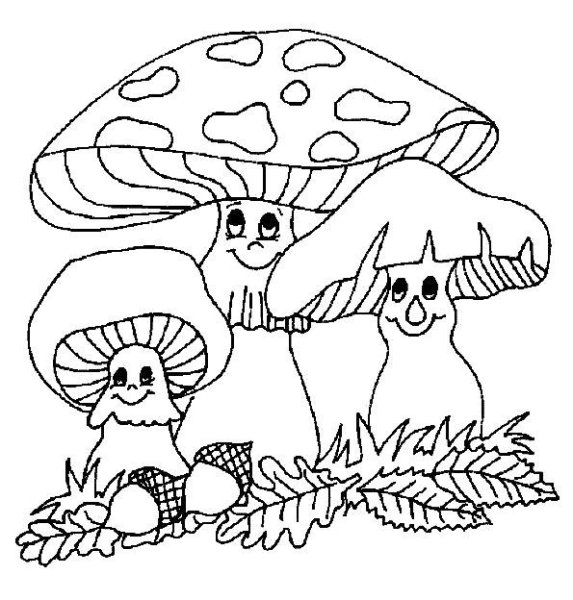 Осенние грибы раскраска для детей