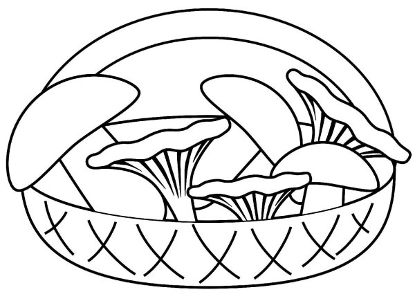 Корзина с грибами раскраска