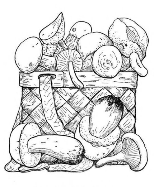 Лукошко с грибами раскраска