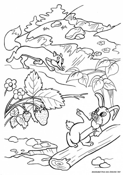 Раскраски под грибом Сутеева