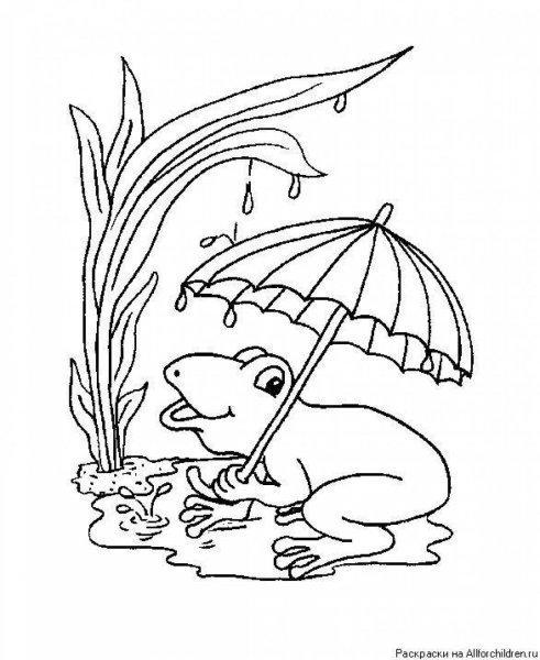 Раскраски под грибом Сутеева