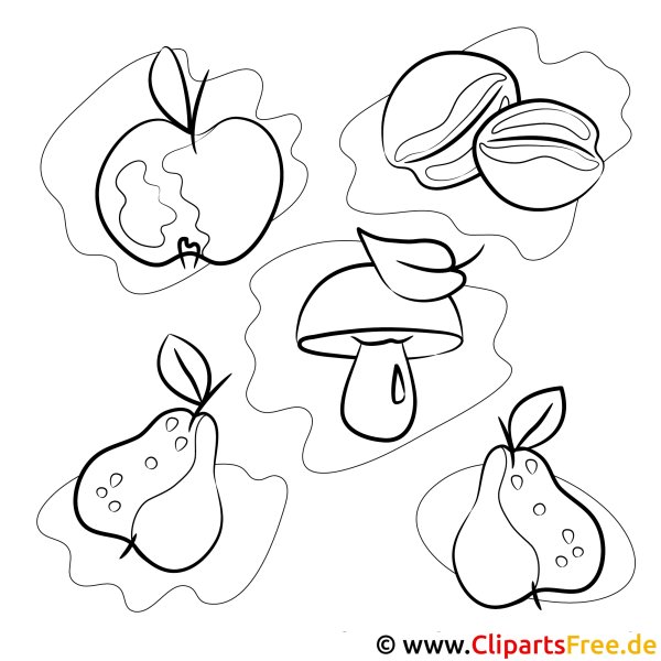 Грибы и яблоки раскраска