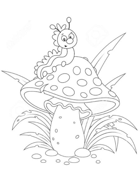 Рисунки для срисовки мухомор