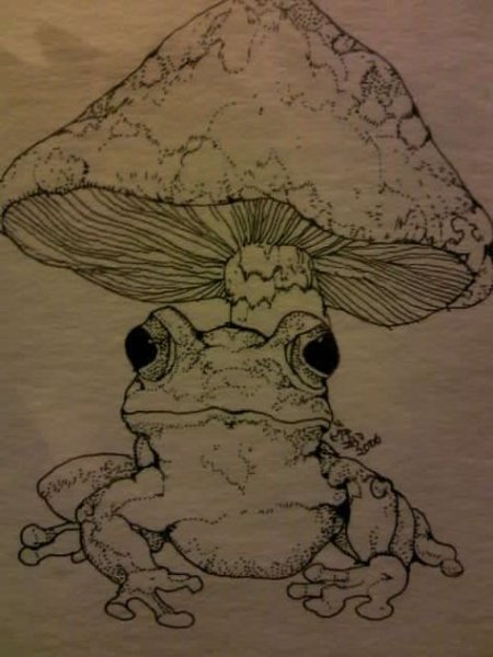 Рисунки лягушек Пинтерест для скетчбука