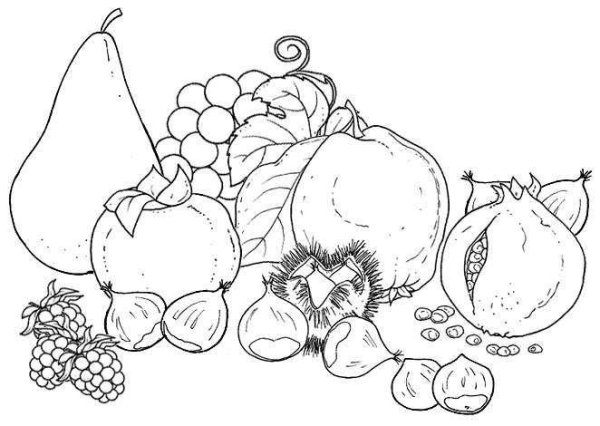 Осенние раскраски овощи и фрукты для детей