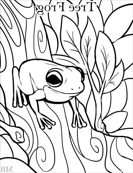 Раскраски лягушки милые