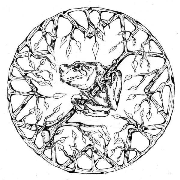 Раскраска антистресс лягушка