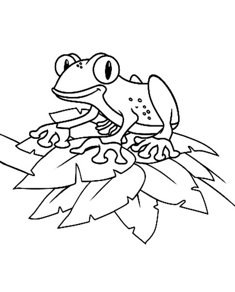 Жаба раскраска для детей