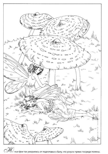 Раскраска лягушка с мухомором