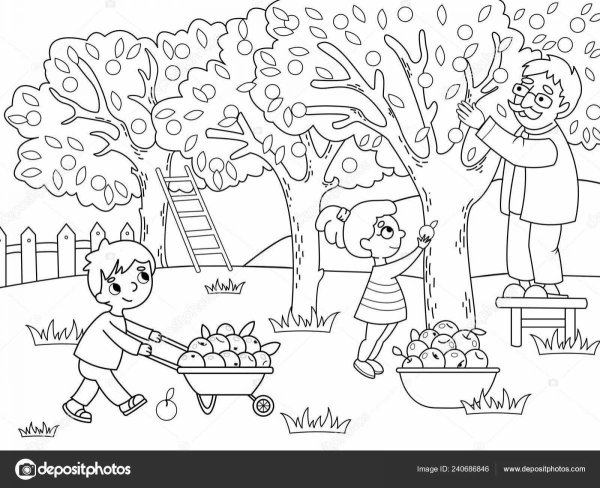 Раскраска сбор урожая в саду