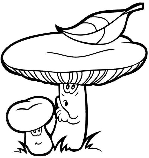 Раскраска гриб сыроежка