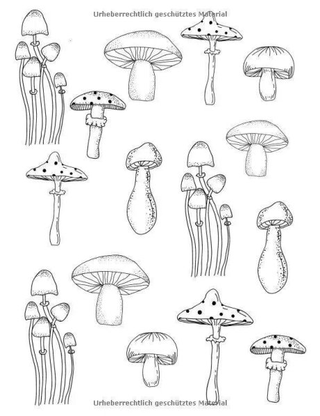 Несъедобные грибы раскраска для детей