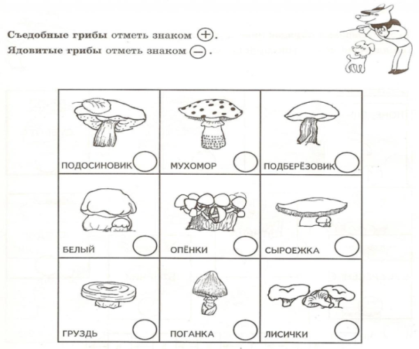 Задание съедобные и несъедобные грибы