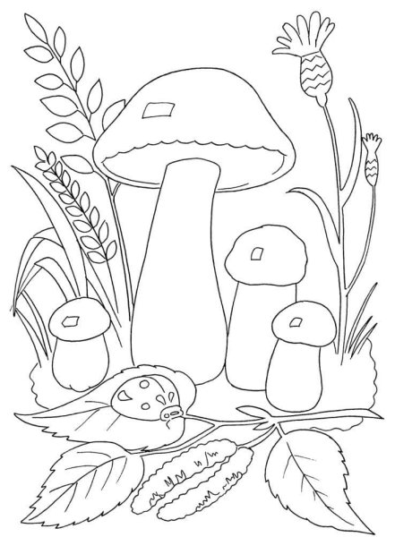 Раскраска осень для детей гриб