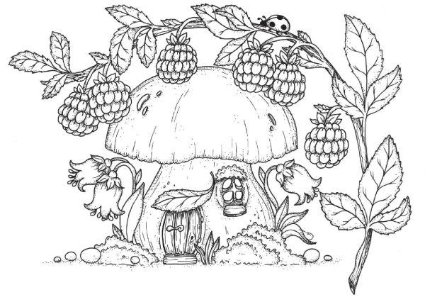 Раскраски домики грибочки