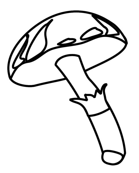 Раскраска гриб масленок